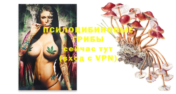 гашик Беломорск